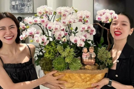 Ảnh sao 20/5: Lệ Quyên thăm nhà phố ba tầng của Hà Nhi