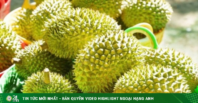 Sầu riêng rớt giá: Lối ra nào cho 'vua' trái cây?