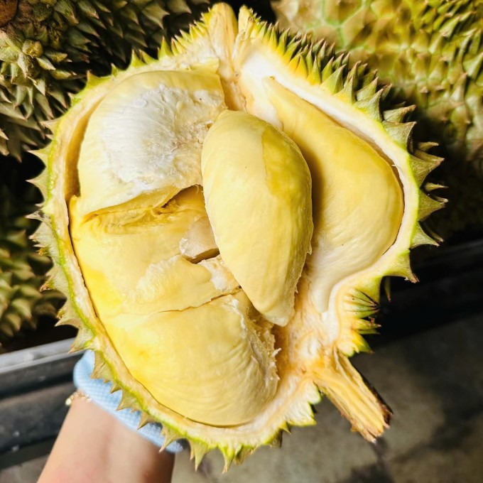 Một múi sầu riêng cỡ vừa thường khoảng 80 - 120 g, tương đương khoảng 120 - 200 calo. Ảnh: regulus.store