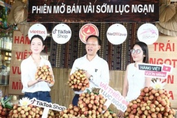 Phó chủ tịch tỉnh livestream bán vải thiều thu hút hàng trăm ngàn lượt xem, chốt 4.830 đơn