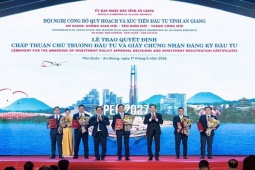 Chính thức “bật đèn xanh” cho tổ hợp xi măng quy mô lớn tại miền Tây