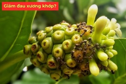 Tin tức sức khỏe - Loại quả có “mùi nồng” ở Việt Nam rẻ bèo, sang Nhật thành đặc sản tiền triệu, nhiều người tiếc vì biết quá muộn