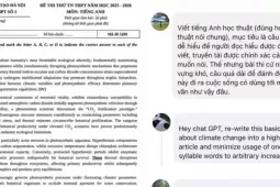 Tranh cãi về độ khó của bài Đọc hiểu tiếng Anh đề thi thử tốt nghiệp THPT 2026