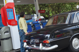 Giải pháp cho xe đời cũ không hỗ trợ xăng E10