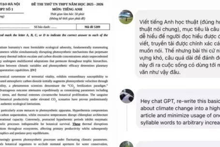 Tranh cãi về độ khó của bài Đọc hiểu tiếng Anh đề thi thử tốt nghiệp THPT 2026