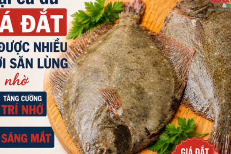 Loại cá dù giá đắt vẫn được nhiều người săn lùng nhờ tăng cường trí nhớ, sáng mắt, khỏe xương