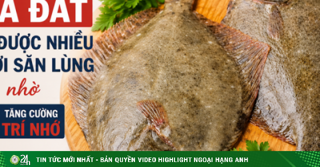 Loại cá dù giá đắt vẫn được nhiều người săn lùng nhờ tăng cường trí nhớ, sáng mắt, khỏe xương