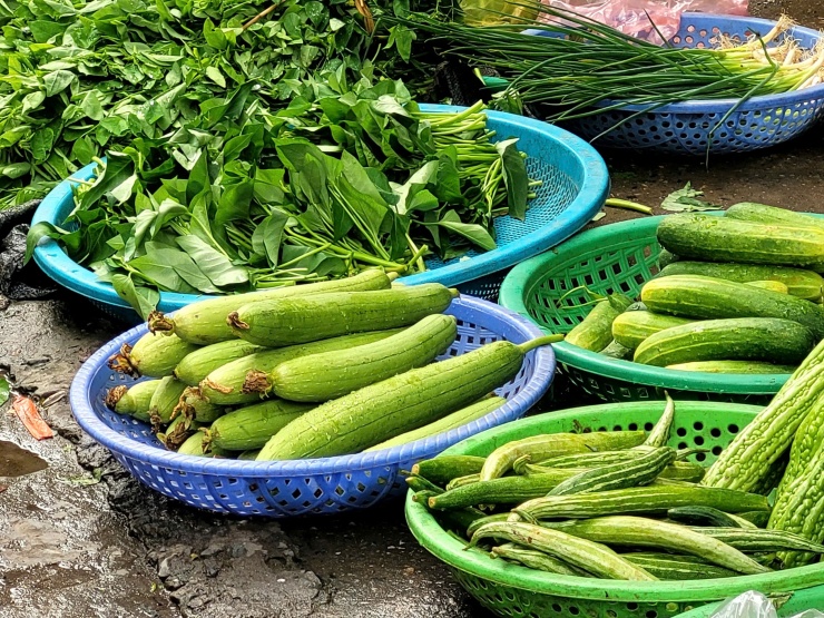 Hiện mướp được bán tại chợ dân sinh với giá rẻ chỉ từ 10.000 đồng/kg