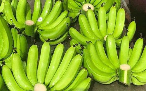 Quả chuối xanh chứa hàm lượng tinh bột kháng và chất xơ cao, ít đường hơn chuối chín giúp kiểm soát đường huyết và hỗ trợ giảm cân.