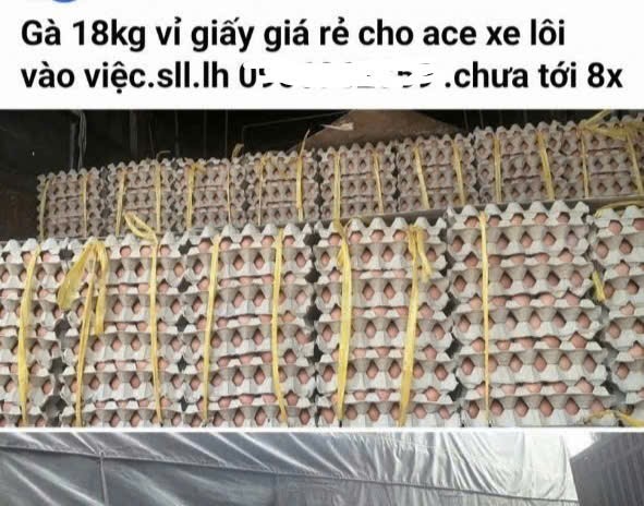 Một tài khoản rao sỉ trứng siêu rẻ cho xe bán rong