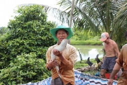 Nông dân Việt Nam xuất sắc- “vua cá đặc sản" ở Cà Mau làm cách nào mà lãi tiền tỷ từ 2 ao nuôi theo chuẩn VietGAP?