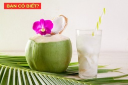 Tin tức sức khỏe - 2 thời điểm nên uống nước dừa rất tốt cho cơ thể, giúp làm dịu cổ họng, đàm bớt đặc, thở nhẹ hơn