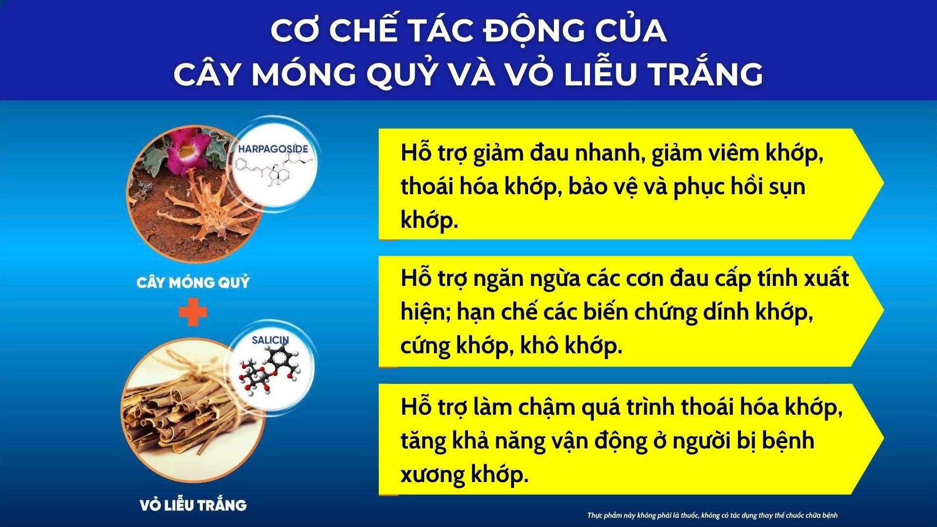 3 món nhậu khoái khẩu quen mặt cần từ bỏ càng sớm càng tốt nếu không muốn “đầu độc” xương khớp! - 4
