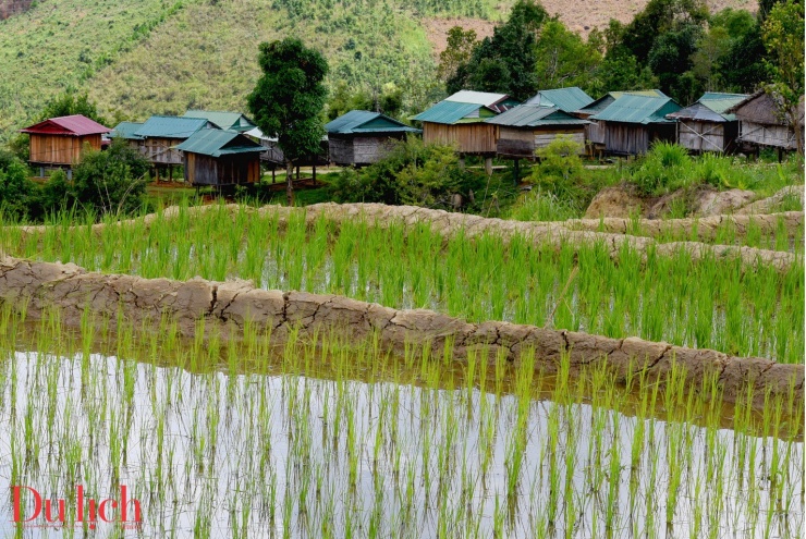 Kho lúa truyền thống, di sản văn hóa độc đáo giữa đại ngàn Ngọc Linh - 10