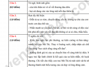 Đáp án môn Văn vào lớp 10 năm 2026 Đà Nẵng chính xác nhất