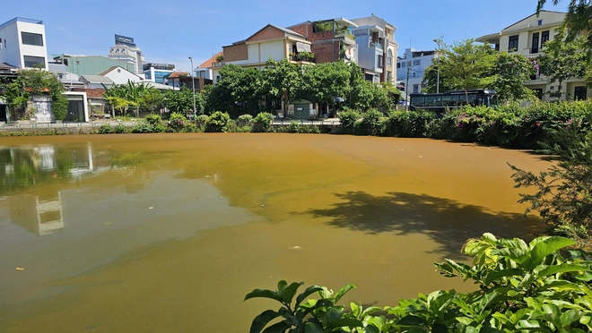 Váng nước dồn về 2 góc của mặt hồ.