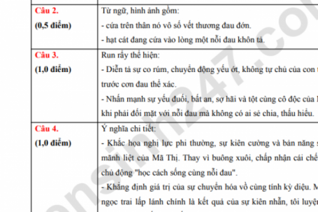 Đáp án môn Văn vào lớp 10 năm 2026 Đà Nẵng chính xác nhất