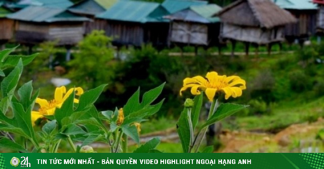 Kho lúa truyền thống, di sản văn hóa độc đáo giữa đại ngàn Ngọc Linh