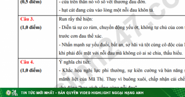 Đáp án môn Văn vào lớp 10 năm 2026 Đà Nẵng chính xác nhất