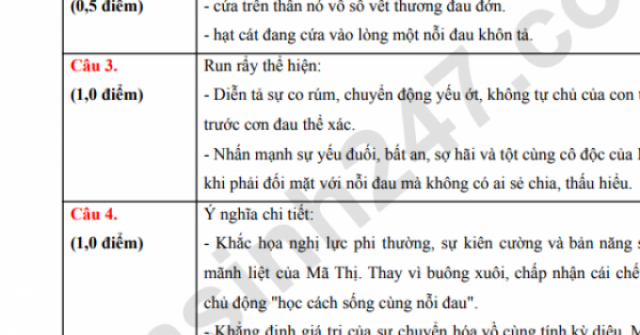 Đáp án môn Văn vào lớp 10 năm 2026 Đà Nẵng chính xác nhất