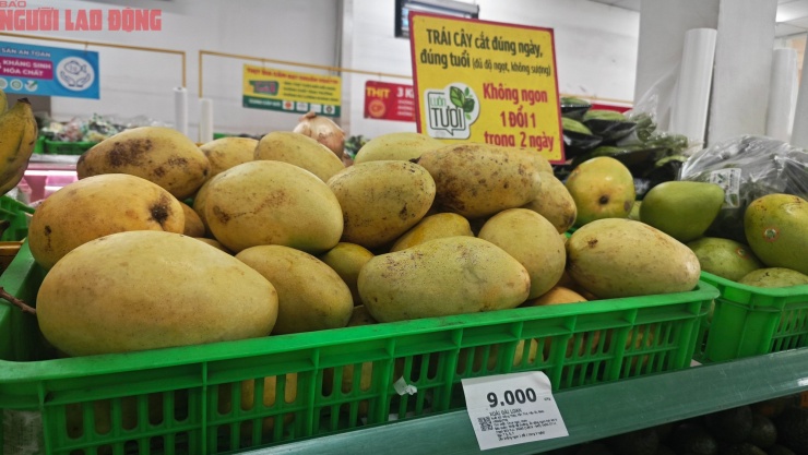 Xoài 9.000 đồng/kg ở siêu thị