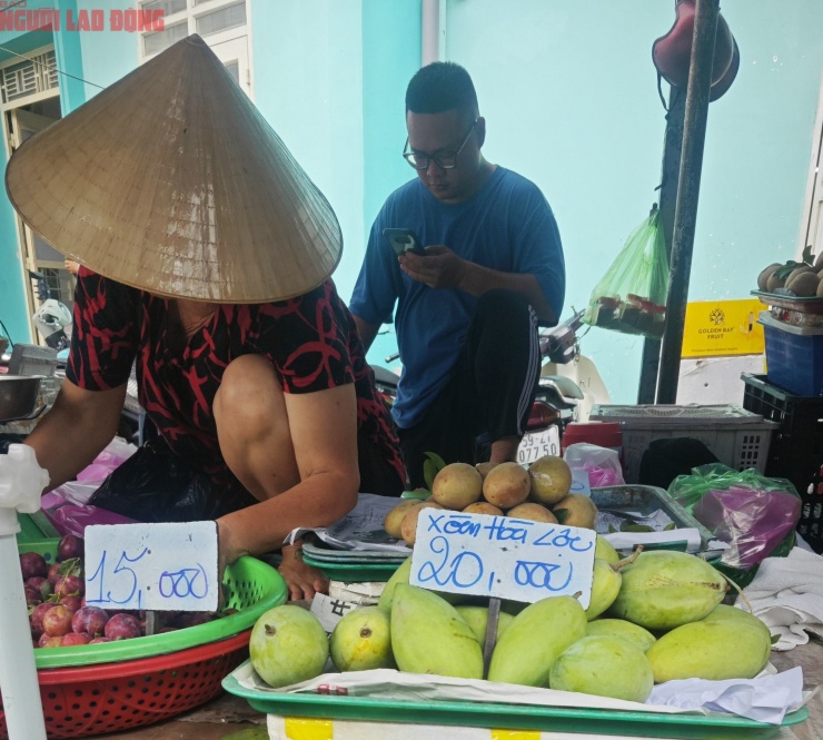 Xoài Hòa Lộc 20.000 đồng/kg sáng 24-5 tại chợ Tân Định