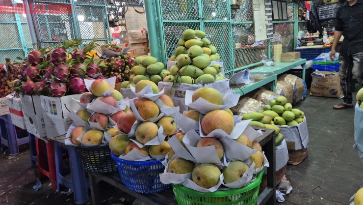 Nhiều giống xoài cùng vào thời điểm thu hoạch