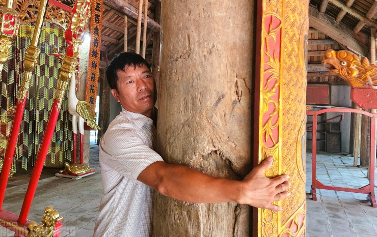 Ông Hoàng Ngọc Toàn, Bí thư Chi bộ kiêm Trưởng thôn Bái Sơn, cho biết các cấu kiện chính bên trong của đình được làm hầu hết bằng gỗ quý (chủ yếu là lim xanh)