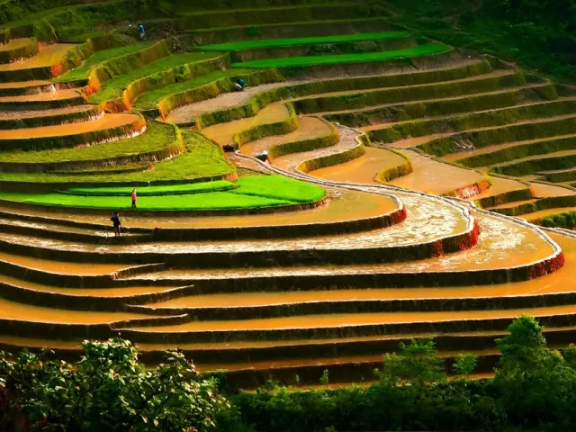 Ngắm ruộng bậc thang Tả Van mùa nước đổ