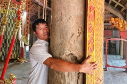 Đình cổ chờ sập ở Thanh Hóa, dân làng dùng tre luồng chống đỡ