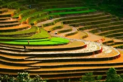 Ngắm ruộng bậc thang Tả Van mùa nước đổ