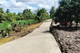 Mưa lớn liên tiếp, nhiều tuyến đường ở Cà Mau sụt lún, nhà dân ‘rơi’ xuống sông