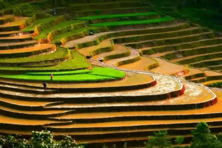Ngắm ruộng bậc thang Tả Van mùa nước đổ