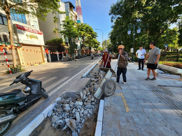 Đại diện phường Hai Bà Trưng cho biết, việc trồng cây xanh, vườn hoa, thảm cỏ