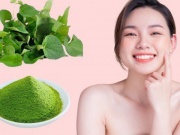 Cách dùng rau diếp cá tốt cho da mụn