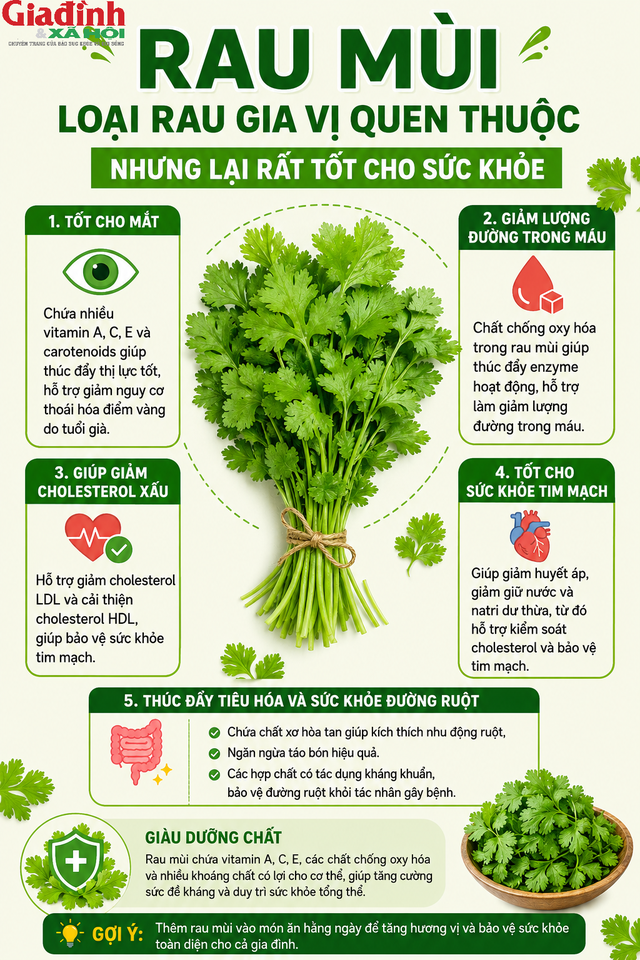 Việc bổ sung rau mùi hợp lý trong bữa ăn hằng ngày có thể góp phần duy trì sức khỏe tổng thể.