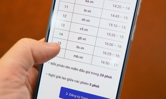 Giao diện trang thông tin đấu giá tên miền của VNNIC trong đợt 1, tháng 3/2026. Ảnh: Lưu Quý