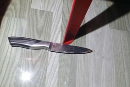 Nhậu say về nhớ lại mâu thuẫn cũ, mang dao đâm chết con rể hàng xóm