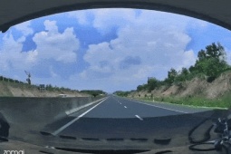 Ô tô chạy gần 100km/h tông trực diện con bò trên cao tốc, túi khí bung ra