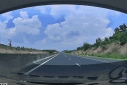 Ô tô chạy gần 100km/h tông trực diện con bò trên cao tốc, túi khí bung ra