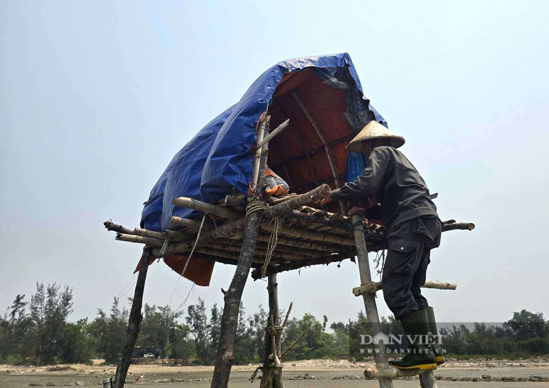 Người nuôi ngao ở xã Quỳnh Phú, tỉnh Nghệ An dựng những chiếc chòi chênh vênh giữa biển dể canh ngao. Họ theo dõi từng biến động của môi trường để có giải pháp xử lý kịp thời.