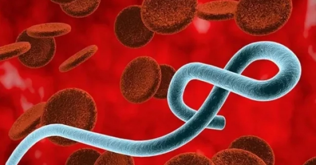 Nguy cơ bệnh Ebola xâm nhập Việt Nam qua đường du lịch quốc tế