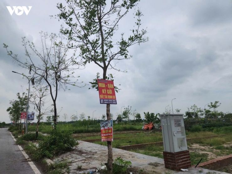 Biển quảng cáo của "cò đất" tại khu tái định cư ở Thư Lâm. 
