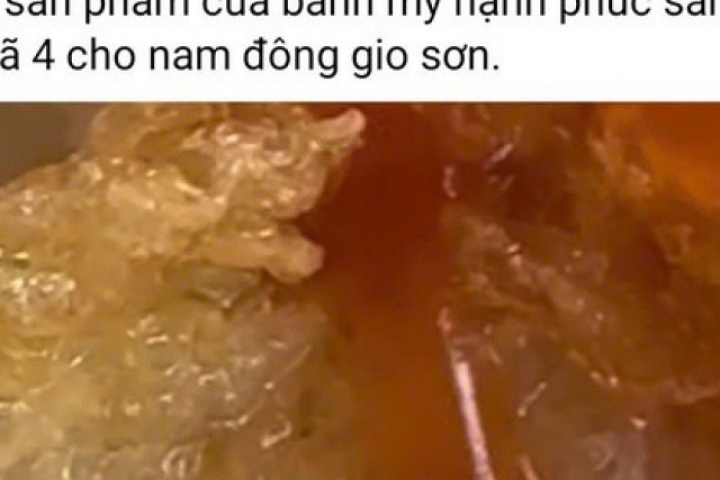 Vụ dòi lúc nhúc trong hộp xôi: Tạm đình chỉ cơ sở bánh mì Hạnh Phúc