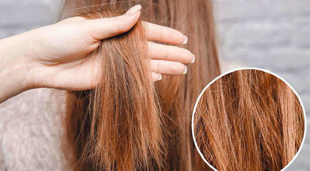 Nếu đuôi tóc đã chẻ ngọn nhiều, bạn nên tỉa bớt. Phần tóc chẻ ngọn rất khó phục hồi hoàn toàn. Việc cắt bỏ phần hư giúp tóc trông khỏe và gọn hơn.