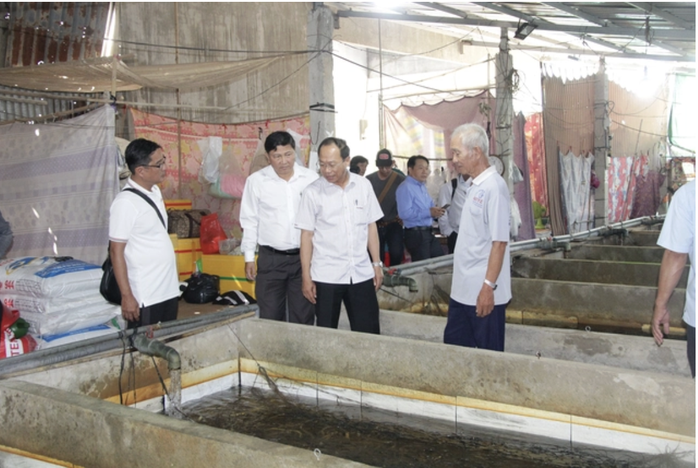 Hội Nông dân TP Cần Thơ khảo sát mô hình nuôi lươn không bùn ở xã Vị Thủy để kết nối tiêu thụ, tìm đầu ra