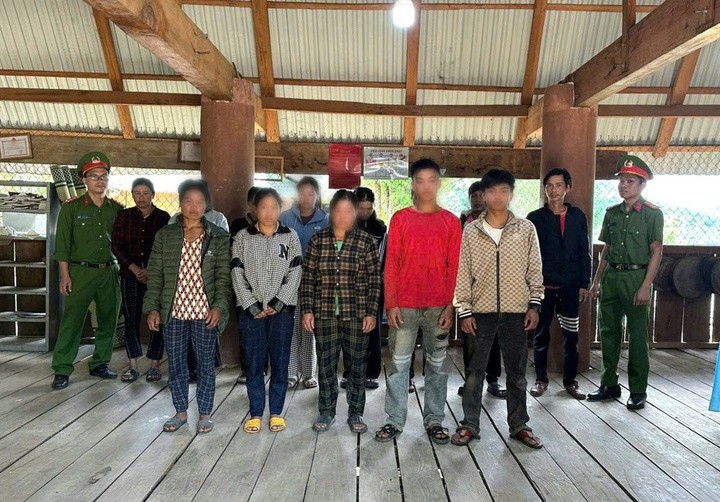 Cơ quan chức năng khởi tố 12 bị can để điều tra về hành vi trộm sâm Ngọc Linh. (Ảnh:C.A)