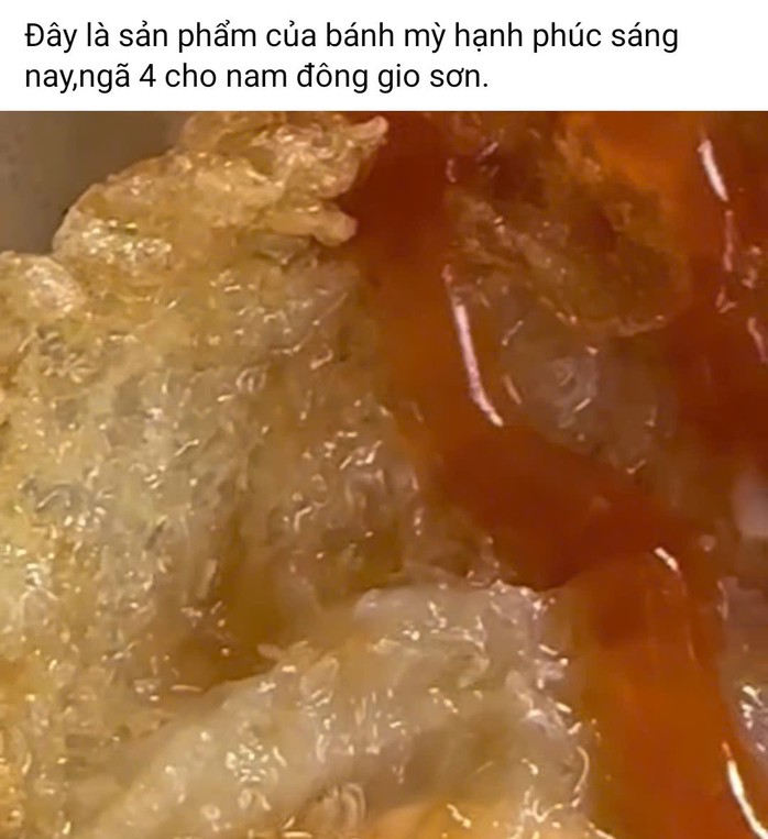 Người dân đăng tải thông tin, hình ảnh dòi lúc nhúc trong hộp xôi của cơ sở bánh mì Hạnh Phúc