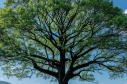 Những năm sinh được dự đoán dễ thành đại gia, tài lộc vượng từ trung vận