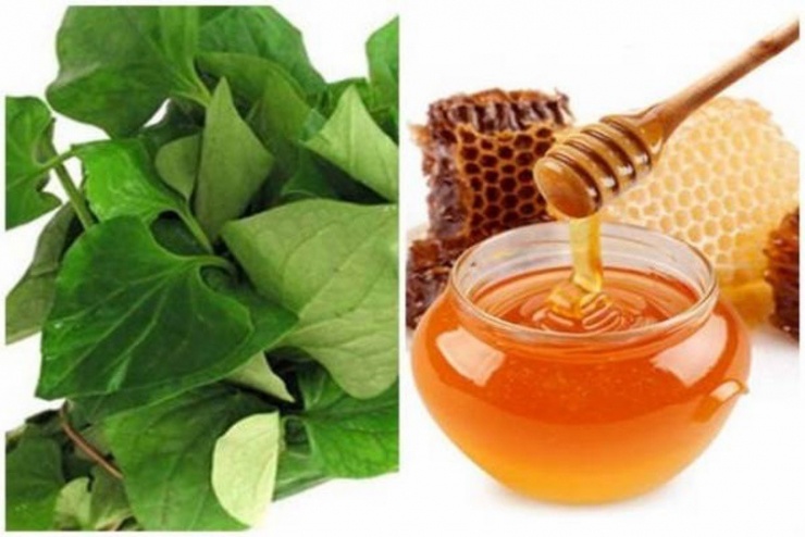 Mặt nạ rau diếp cá và mật ong giúp dưỡng ẩm, giảm thâm.